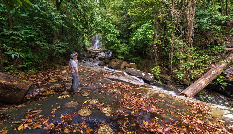 Frogging Tour, Kubah National Park